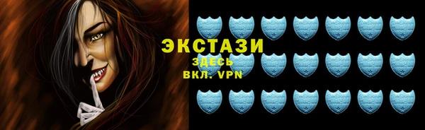 гидра Надым