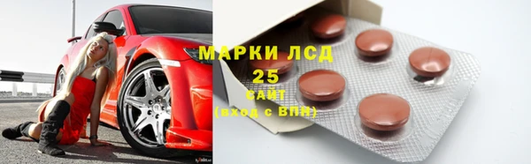 гидра Надым
