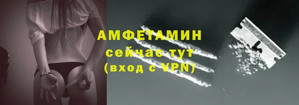 трава Наволоки