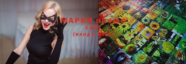 гидра Надым