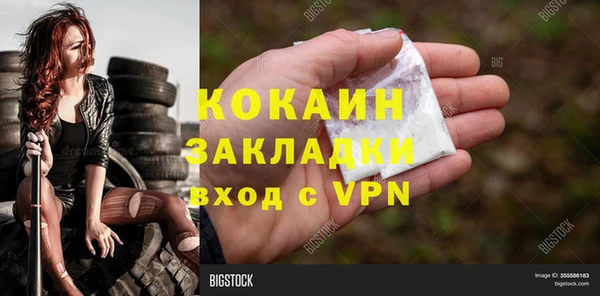 гидра Надым