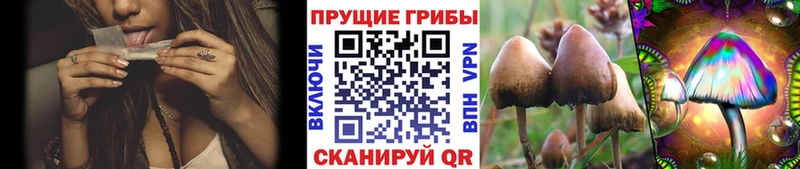 Псилоцибиновые грибы мицелий  магазин  наркотиков  Ханты-Мансийск 